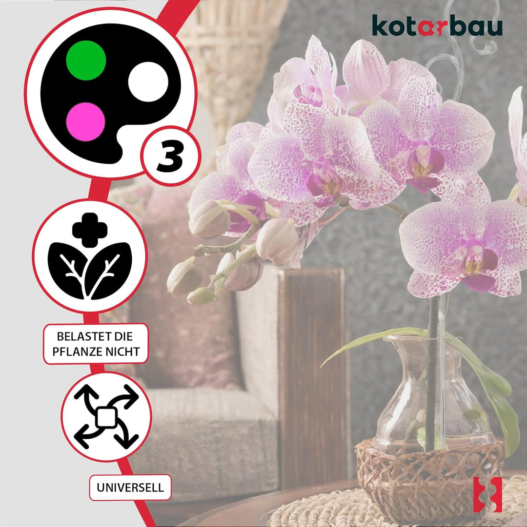 KOTARBAU® 6er Set Pflanzenstütze Transparent PVC 39 cm Blumenstütze Rankhilfe Zimmerpflanzen Blumens