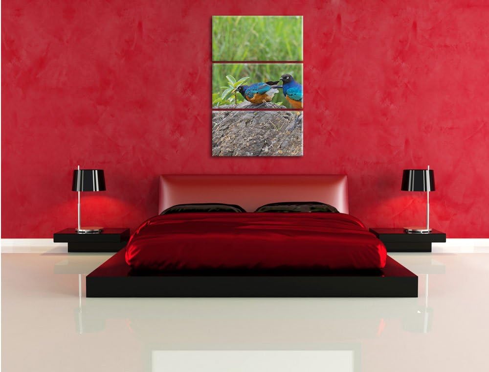 Pixxprint Vögel auf einem Stein als Leinwandbild/Grösse: 3 Teilig (120x80) cm/Wandbild/Kunstdruck/fe
