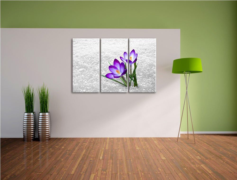 Lila Schnee Krokusse schwarz/weiss 3-Teiler Leinwandbild 120x80 Bild auf Leinwand, XXL riesige Bilde