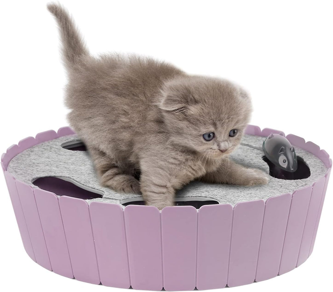 Pawaboo Katzenspielzeug Elektrische Maus, Interaktiv Kätzchen Spielzeug Katzenbett Kratzmatte Katzen