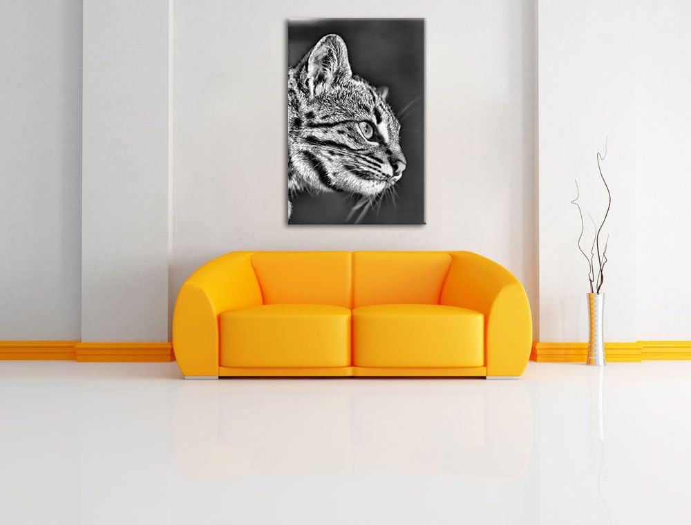 Pixxprint Bengalkatze im Profil als Leinwandbild/Grösse: 100x70 / Wandbild/Kunstdruck/fertig bespann