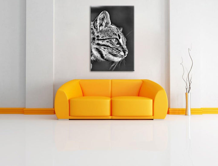 Pixxprint Bengalkatze im Profil als Leinwandbild/Grösse: 100x70 / Wandbild/Kunstdruck/fertig bespann