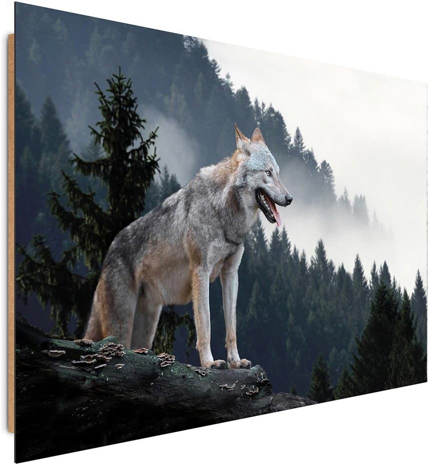 Feeby. Wandbilder - 1 Teilig- 70x100 cm - Bilder Kunstdrucke Deko Panel, WOLF, NATUR, GRAU, 70x100 c