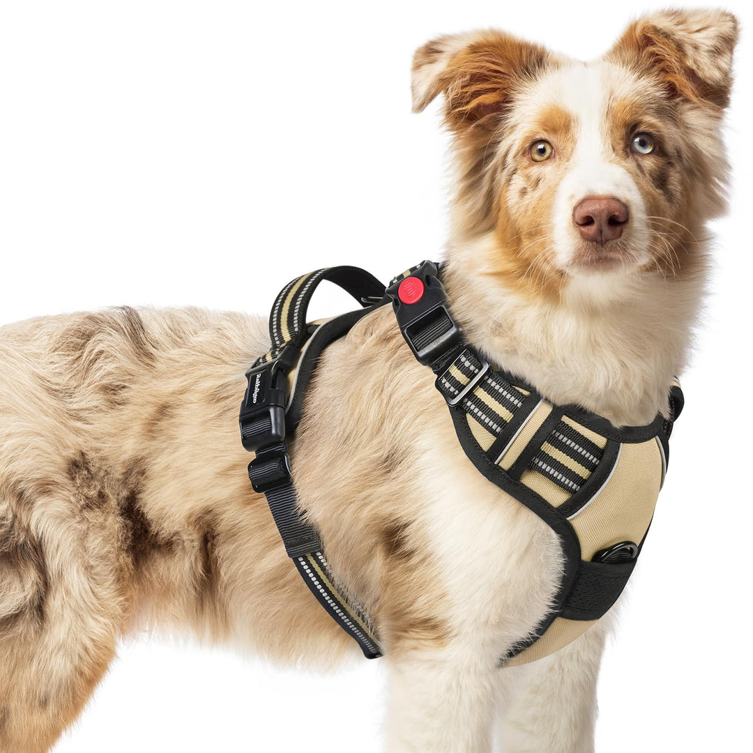 rabbitgoo Hundegeschirr Kleine Hunde, Verstellbare Geschirr Hund ohne Zug &amp; Würgen, Anti Zug hundege