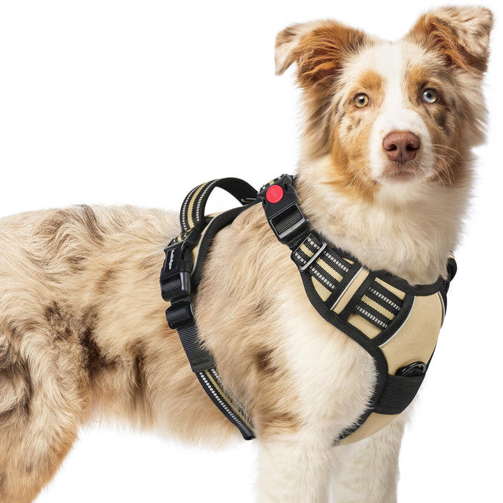 rabbitgoo Hundegeschirr Kleine Hunde, Verstellbare Geschirr Hund ohne Zug &amp; Würgen, Anti Zug hundege