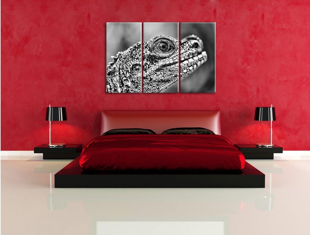 Pixxprint grosser Schuppenwaran als Leinwandbild/Grösse: 3 Teilig (120x80) cm/Wandbild/Kunstdruck/fe