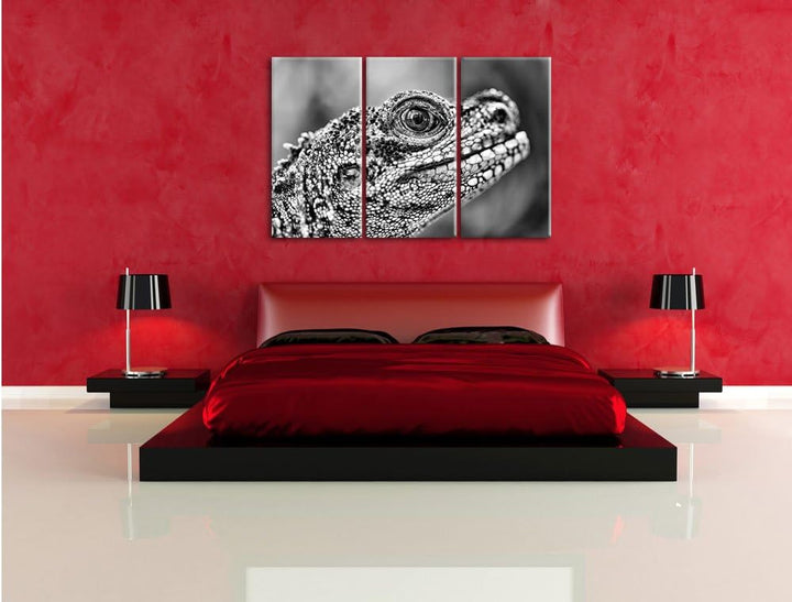 Pixxprint grosser Schuppenwaran als Leinwandbild/Grösse: 3 Teilig (120x80) cm/Wandbild/Kunstdruck/fe