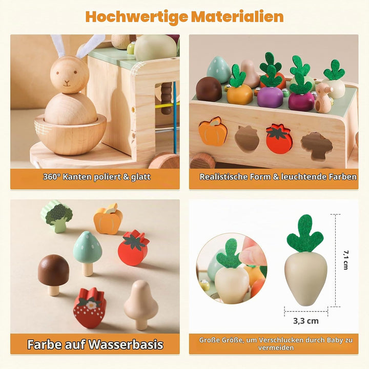 WOODEN TEETHER Montessori Holzspielzeug ab 1 2 3 Jahr, Steckspiel Sortierspiel Holzpuzzle Karottener