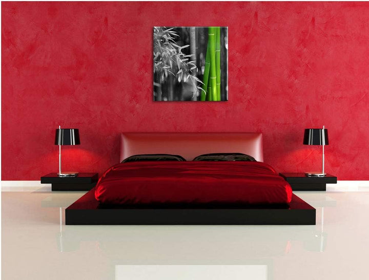 Pixxprint frischer Bambus schwarz/weiss, Format: 70x70 auf Leinwand, 70x70