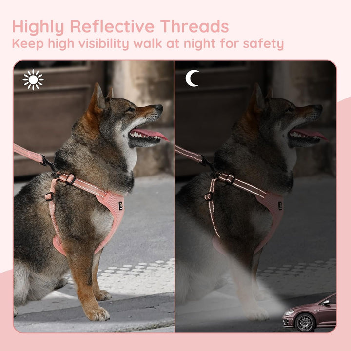 BELLA & PAL Hundegeschirr und Leine Set, Step-in Design mit atmungsaktivem Air-Mesh, reflektierenden