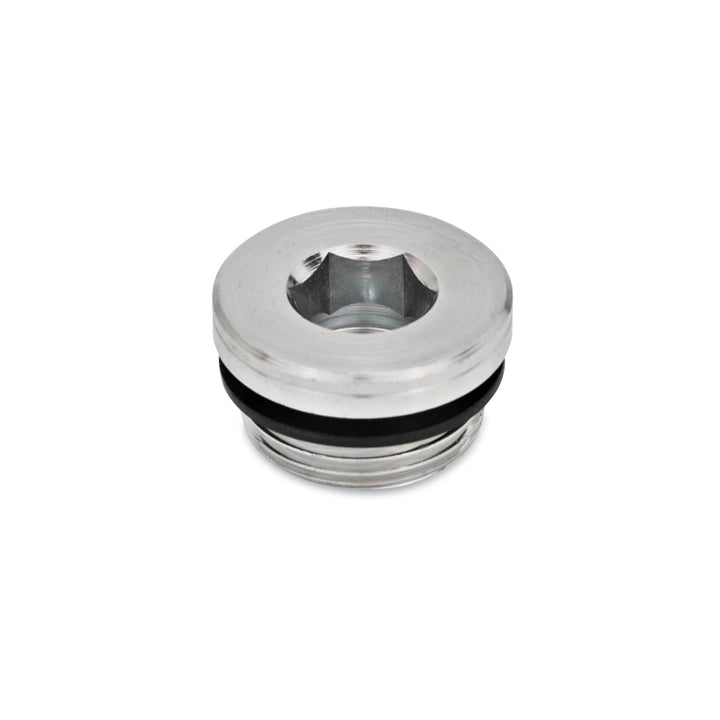 Ganter Normelemente GN 749-M16X1,5-A - Verschlussschrauben, Silber, Feingewinde d1: M16x1,5, 10 Stüc