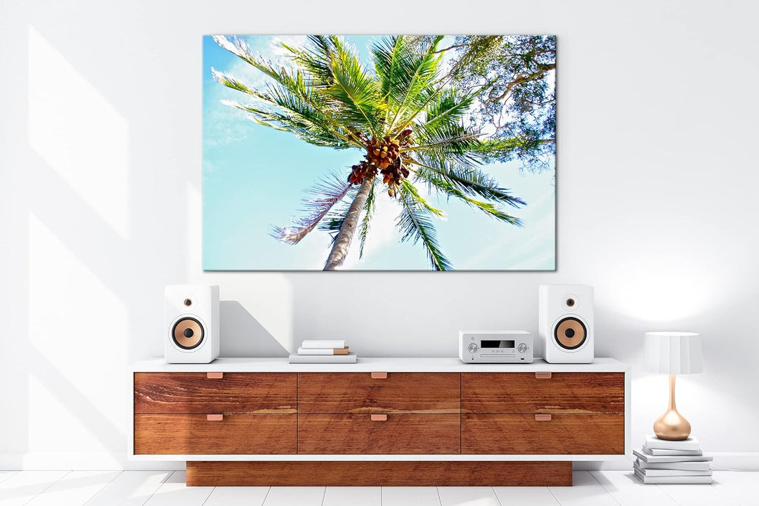 deyoli Kokosnüsse an einer tropischen Palme Format: 80x60 als Leinwandbild, Motiv fertig gerahmt auf