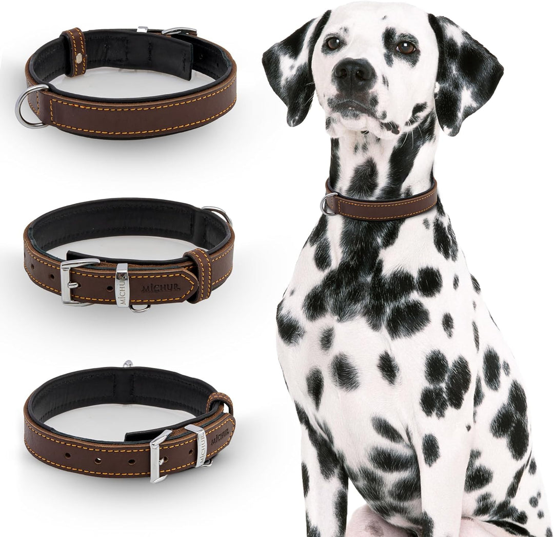 Michur Minimo Hundehalsband Leder, Lederhalsband Hund, Halsband, Braun, Leder, in verschiedenen Grös