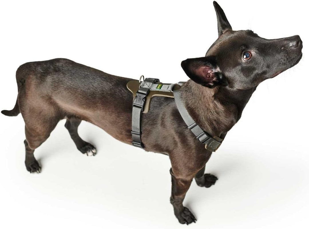 HUNTER AALBORG MIXED Hundegeschirr, M, oliv/grau, 56 - 81 cm oliv/grau 56 - 81 cm, oliv/grau 56 - 81