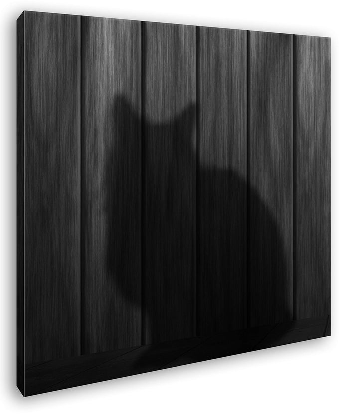 deyoli Schatten Einer Katze Format: 60x60 Effekt: Schwarz&Weiss als Leinwandbild, Motiv fertig gerah
