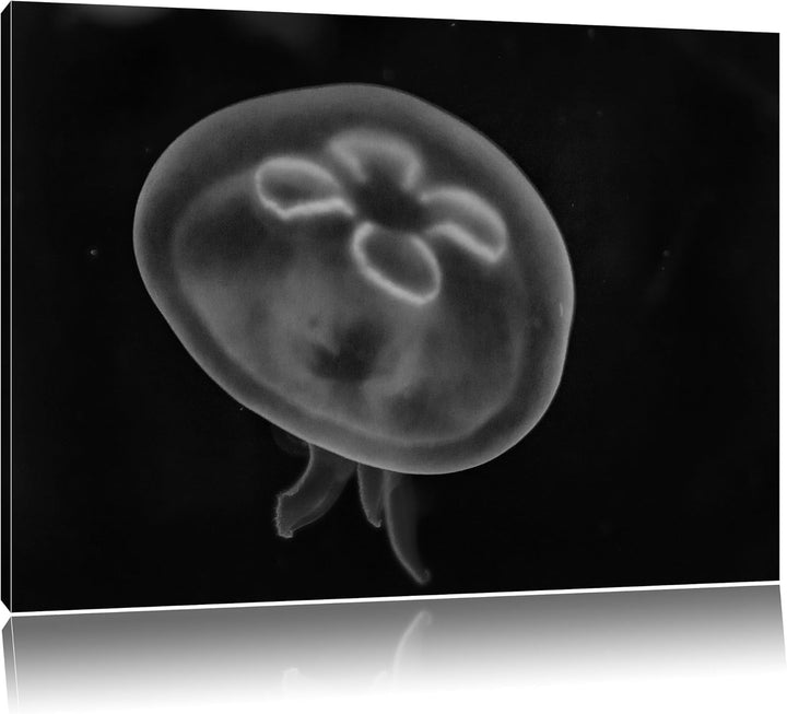 Pixxprint Leuchtend Blaue Qualle / 100x70cm Leinwandbild bespannt auf Holzrahmen/Wandbild Kunstdruck