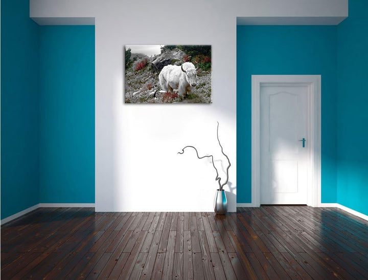 Pixxprint Schönes Yak Himalaya als Leinwandbild/Grösse: 100x70 / Wandbild/Kunstdruck/fertig bespannt