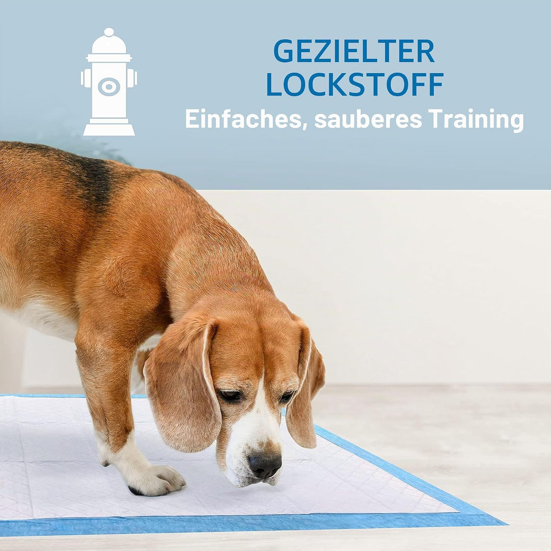 Four Paws Wee-Wee Trainingspads, Geruchskontrolle, 100 Stück 100 Count Geruchskontrolle, 100 Count G