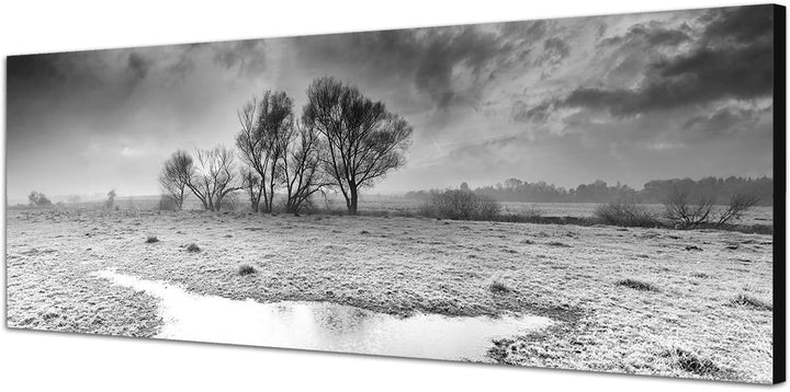 Paul Sinus Art Leinwandfoto als Panorama SCHWARZ/Weiss 150x50cm Herbst Landschaft Frost Wolkenhimmel