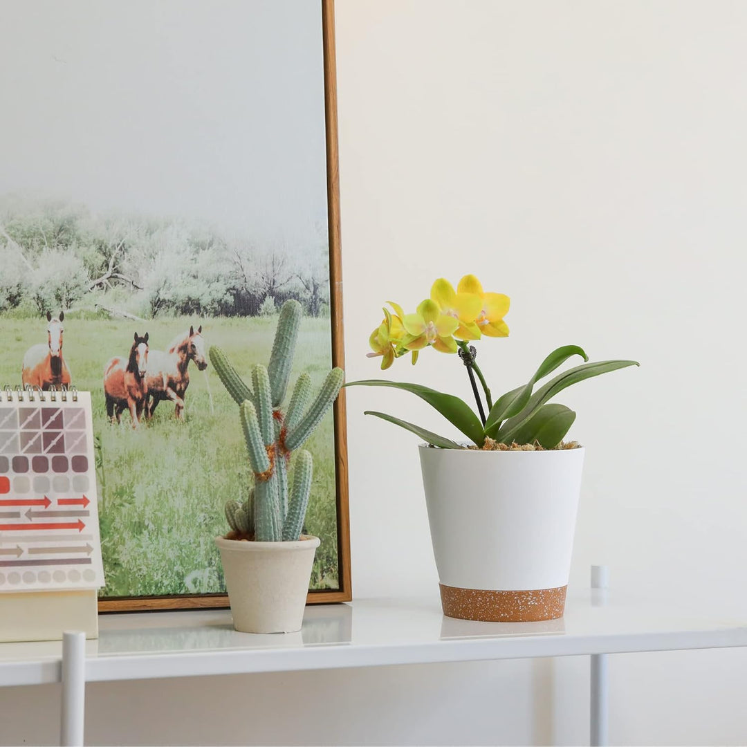 T4U 14cm Blumentopf mit Selbstbewässerung, 3er-Set Blumentopf mit Untersetzer, ideal für Innen- und