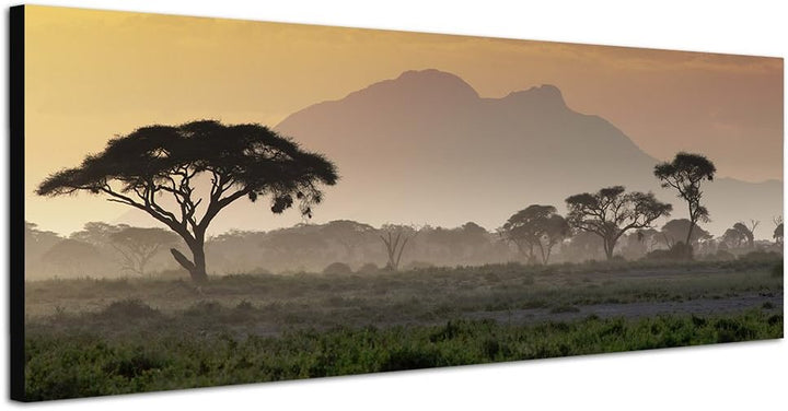 Paul Sinus Art Panoramabild auf Leinwand und Keilrahmen 150x50cm Afrika Wiesen Bäume Berge Sonnenunt