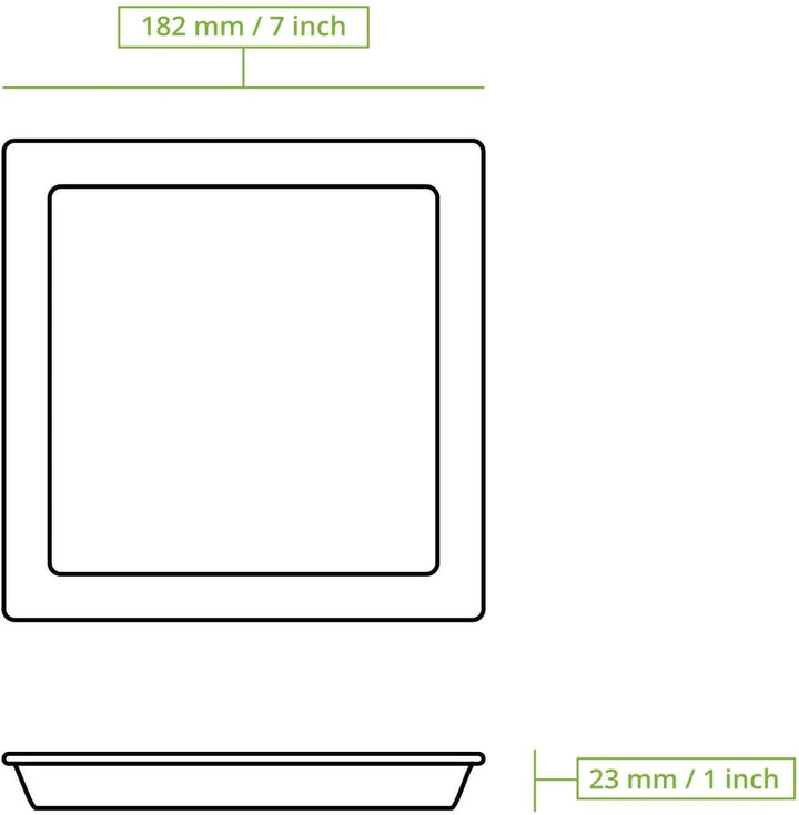 BIOZOYG Einwegteller 25 Stück 18x18cm Palmblatt-Teller - Einweggeschirr kompostierbar - hochwertige