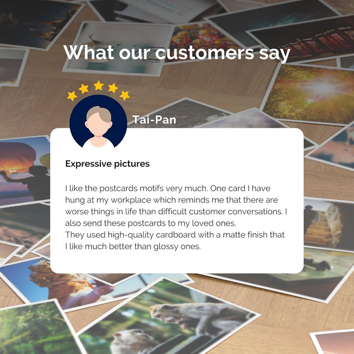 metaFox | Leading Change Postcards Pack | 52 Cards for Coaching & Change Management | Based on the 8