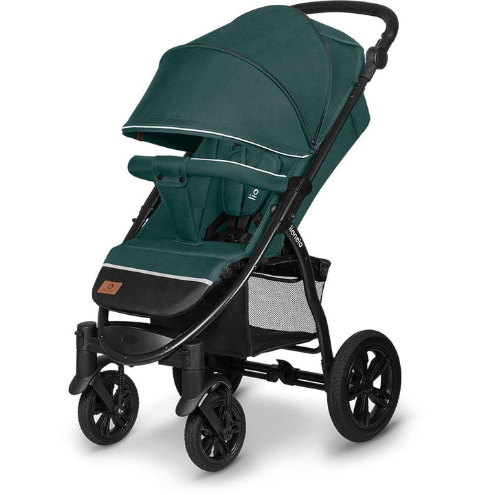 LIONELO Annet Tour Kinderwagen bis 22 kg, verstellbarer Griff, zusammenklappbar, verstellbare Rücken