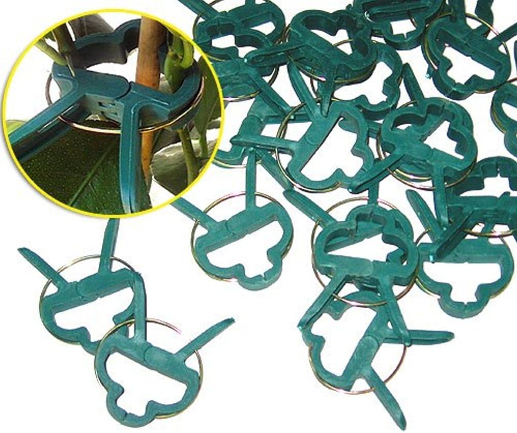 iapyx Pflanzenclips Starke stabile Pflanzenklammern extra gross für Spaliere Rosenbogen Rankhilfe et
