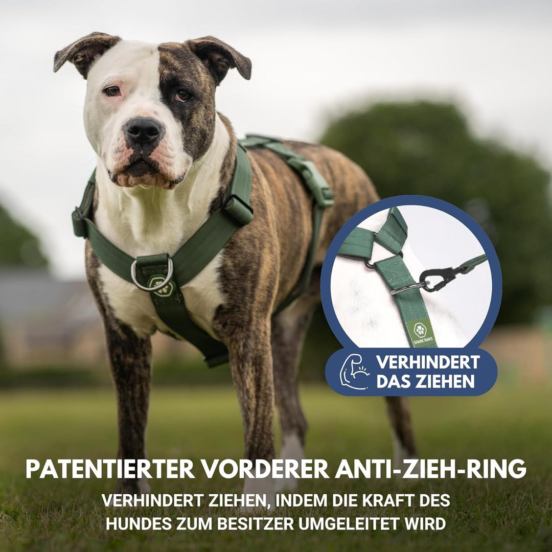 Spark Paws No Pull Hundegeschirr Grosse Hunde, Halterdesign mit Frontclip, Y Geschirr Hund, Robust u