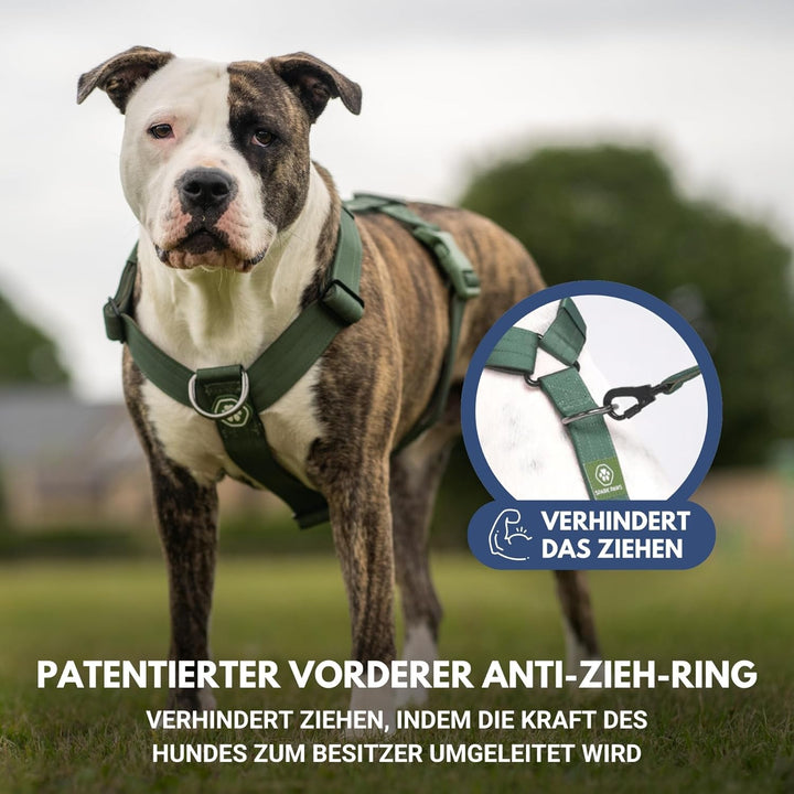 Spark Paws No Pull Hundegeschirr Grosse Hunde, Halterdesign mit Frontclip, Y Geschirr Hund, Robust u