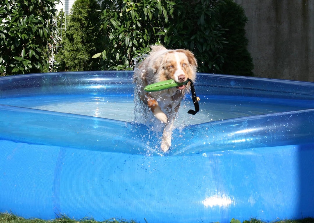 Dingo Beisswurst Agility Hundespielzeug für Training, Apportieren, Wassersport, Zerrspiele, Spielen,