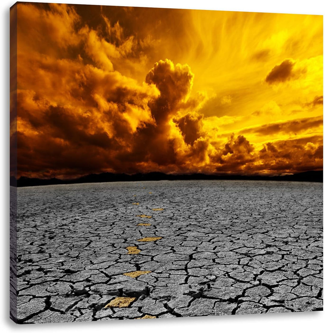 Pixxprint ausgetrocknete Landschaft schwarz/weiss, Format: 70x70 auf Leinwand, 70x70