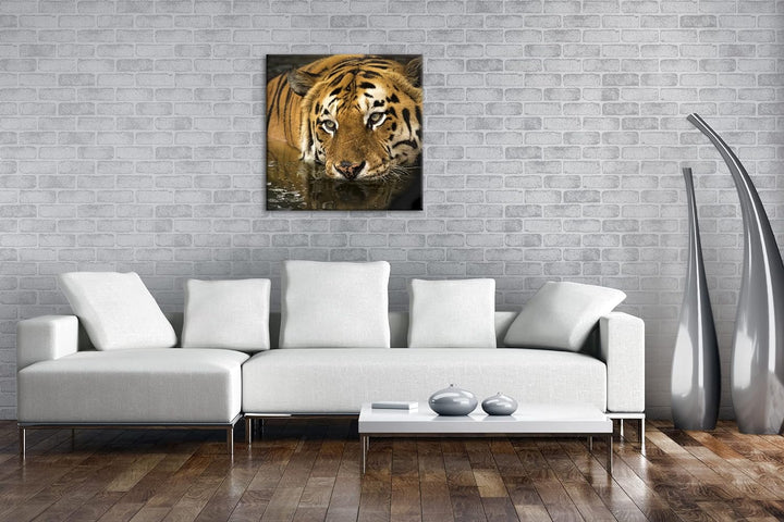 deyoli lauernder Tiger Format: 70x70 cm als Leinwandbild, Motiv fertig gerahmt auf Echtholzrahmen, H