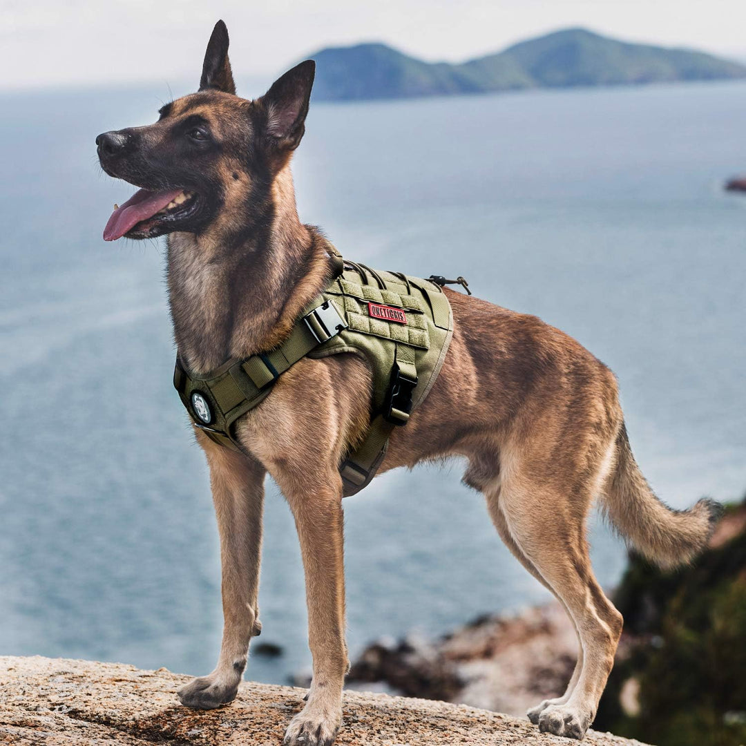 OneTigris Taktische Hundeweste Service Hundegeschirr MOLLE Hundeausbildung Geschirr 1000D Nylon (M,