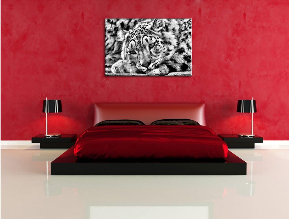 Pixxprint ruhender Schneeleopard / 100x70cm Leinwandbild bespannt auf Holzrahmen/Wandbild Kunstdruck