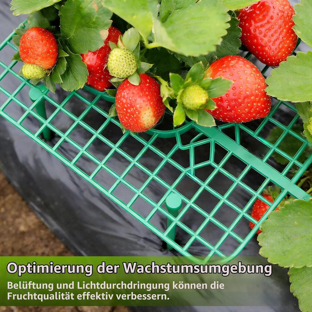 15 Stück Erdbeerstützen ständer, Quadratisch Erdbeerreifer, Abnehmbares Erdbeergitter, Grün