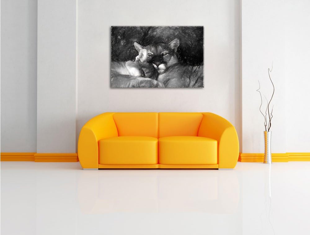 Pixxprint verschlafenes Puma Paar Kunst als Leinwandbild/Grösse: 100x70 / Wandbild/Kunstdruck/fertig