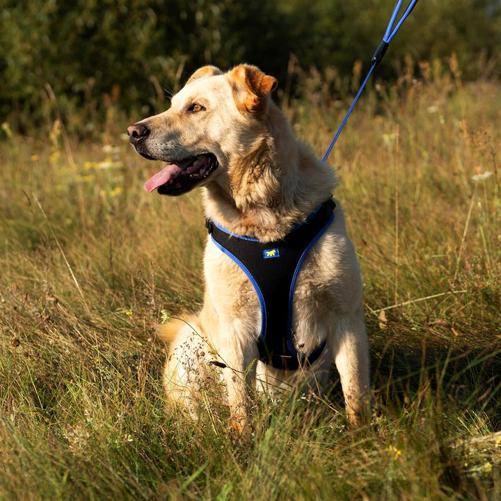 Ferplast Hundegeschirr grosse Hunde Geschirr Hunde mit Polsterung ERGOCOMFORT L, Halsumfang: 50-60 c