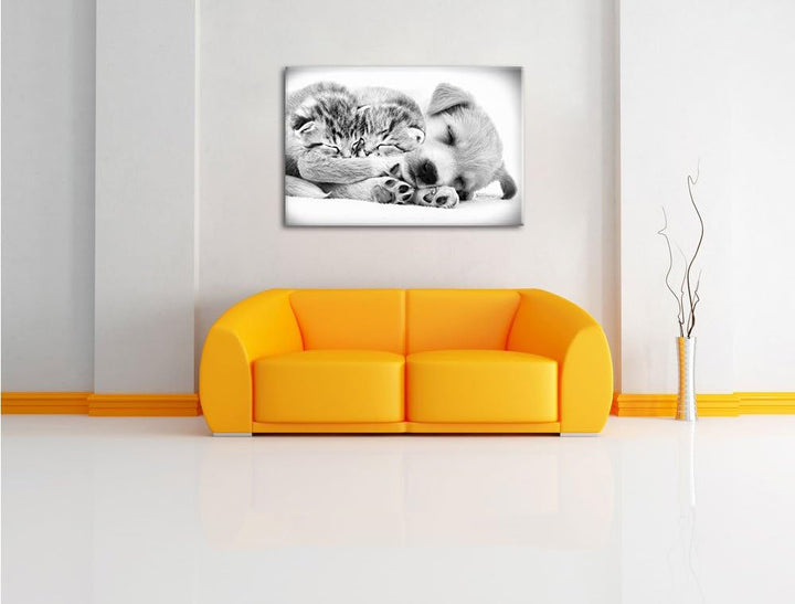 Pixxprint Hundewelpe mit kleinen Kätzchen als Leinwandbild/Grösse: 100x70 cm/Wandbild/Kunstdruck/fer