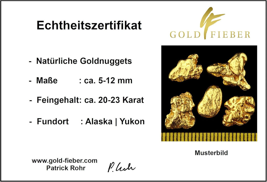 3 Gramm Echte XXL Goldnuggets aus Alaska mit Echtheitszertifikat in edler Münzdose, 3 Gramm