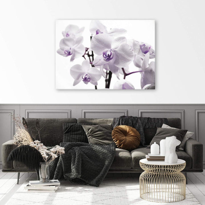 Feeby, Leinwandbild, Bilder, Wand Bild, Wandbilder, Kunstdruck 80x120cm, Blumen, ORCHIDEEN, MAKRO, W