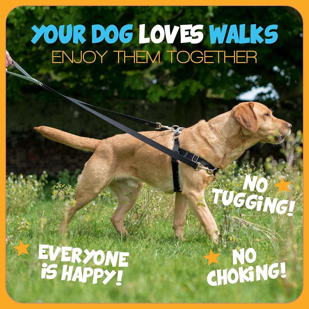 2 Hounds Design Freedom Hundegeschirr und Trainingsleine gegen Ziehen, doppelte Leinenschlaufen, gef