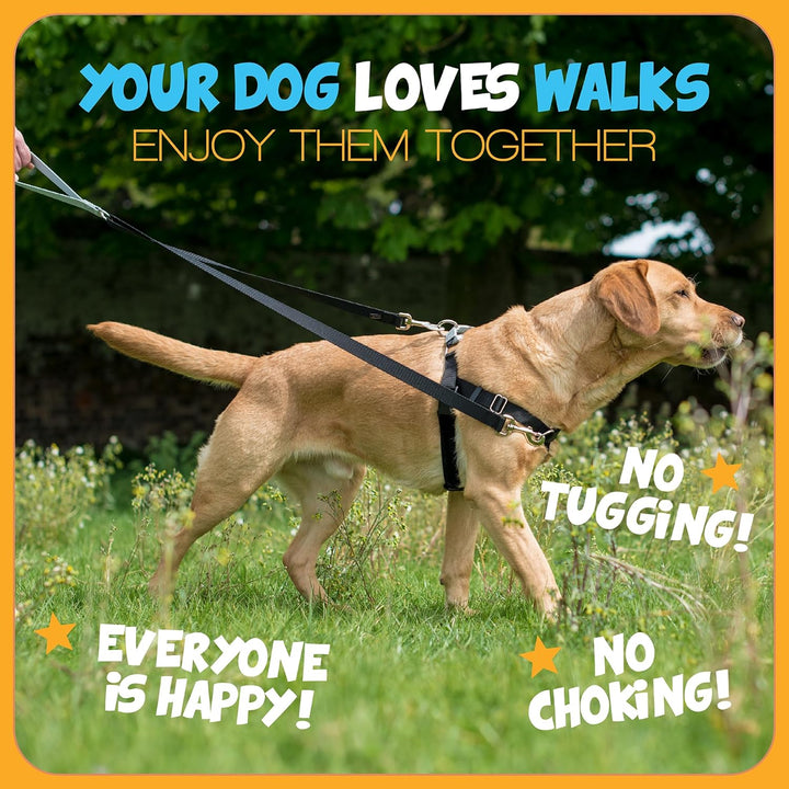 2 Hounds Design Freedom Hundegeschirr und Trainingsleine gegen Ziehen, doppelte Leinenschlaufen, gef