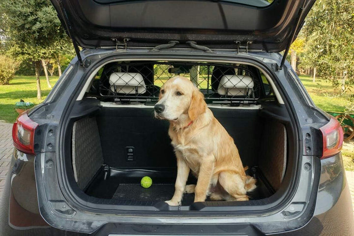 ERGOTECH Trennnetz Trenngitter kompatibel mit Mazda CX-3 (ab BJ 2015), RDA65-XXS, für Hunde und Gepä