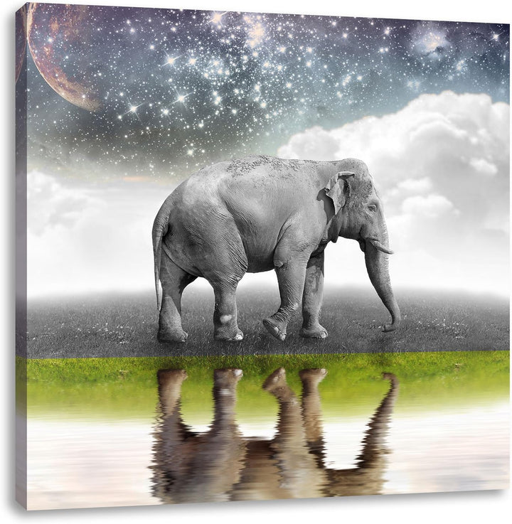 Pixxprint Traumhafter Elefant auf Wiese schwarz/weiss, Format: 70x70 auf Leinwand, 70x70