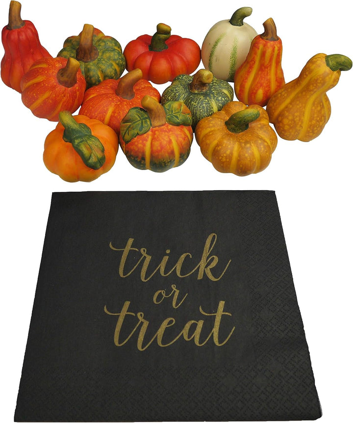 khevga Herbstdeko Zierkürbis Deko-Kürbisse aus Terracotta 12er Set