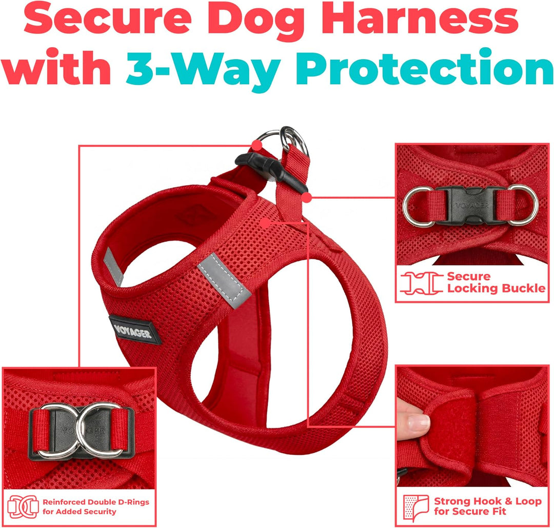 Best Pet Supplies Voyager Step-In Air-Hundegeschirr – Allwetter-Mesh-Weste für kleine und mittelgros