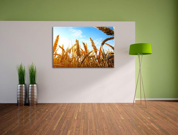 Getreide im Sonnenschein Format: 100x70 auf Leinwand, XXL riesige Bilder fertig gerahmt mit Keilrahm