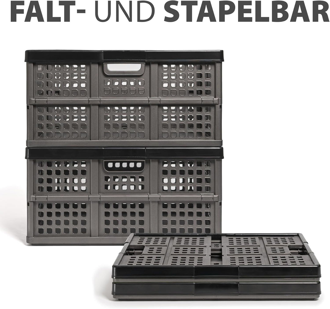 Hausfelder Klappbox 45 l, 2er Set – faltbare Klappkiste aus Kunststoff, stabiler Klappkorb für Einkä